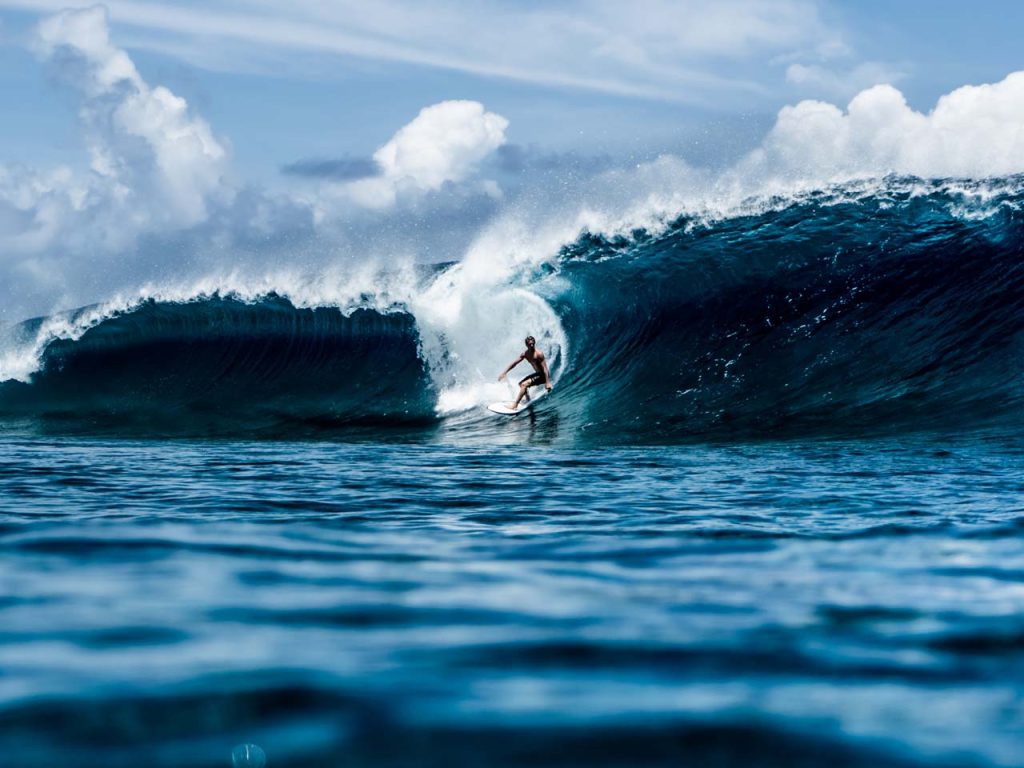 male surfer in a big curl